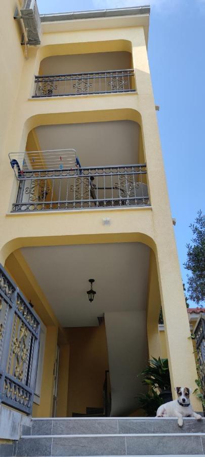 Apartments Sofija Slatine Exterior foto